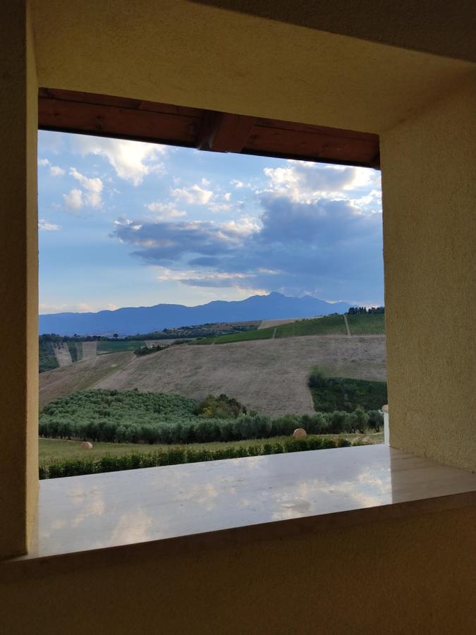 Agriturismo Terra Dei Falchi Castilenti Ngoại thất bức ảnh