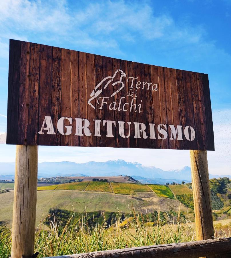 Agriturismo Terra Dei Falchi Castilenti Ngoại thất bức ảnh