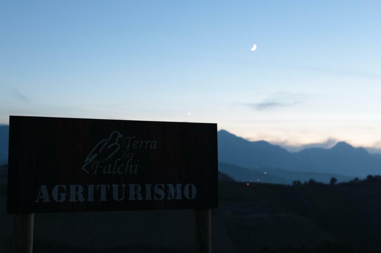 Agriturismo Terra Dei Falchi Castilenti Ngoại thất bức ảnh